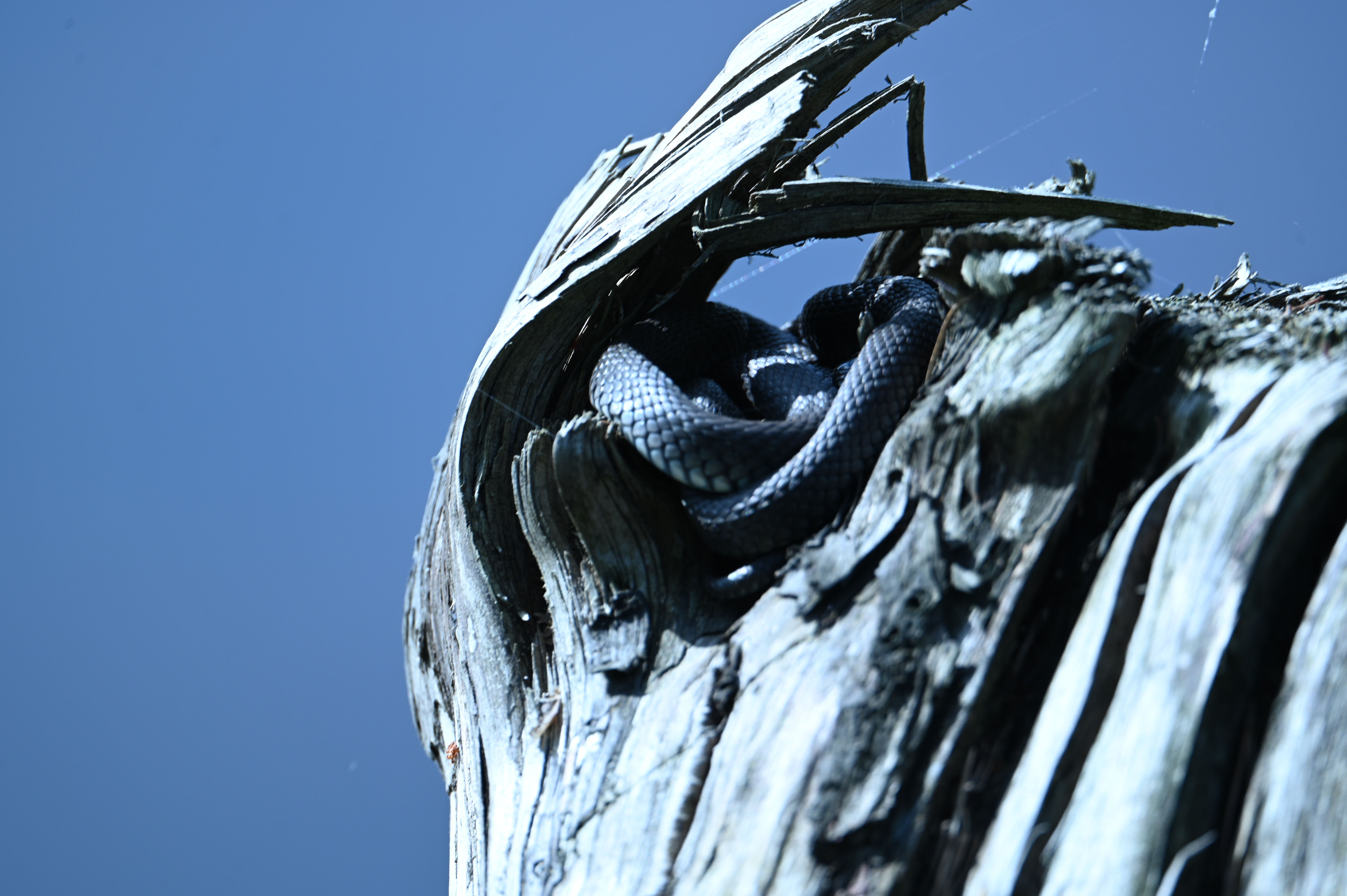 2025/07/09-14 - trip/DSC_0487.JPG